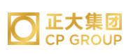 下城正大集团